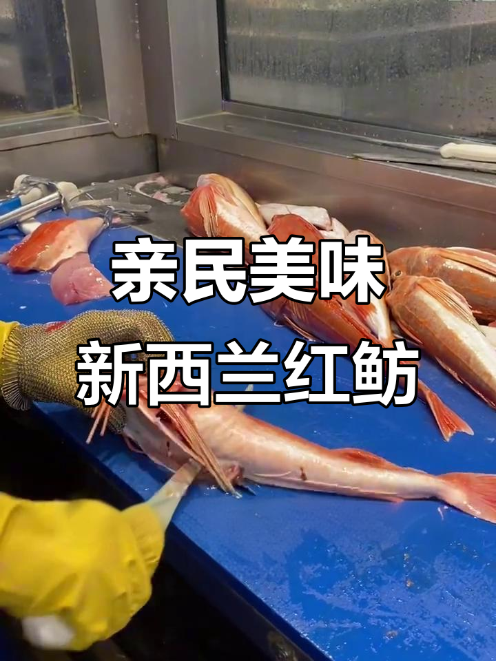 新西兰最受欢迎的赫伦红鲂鱼，肉质鲜美做法多样