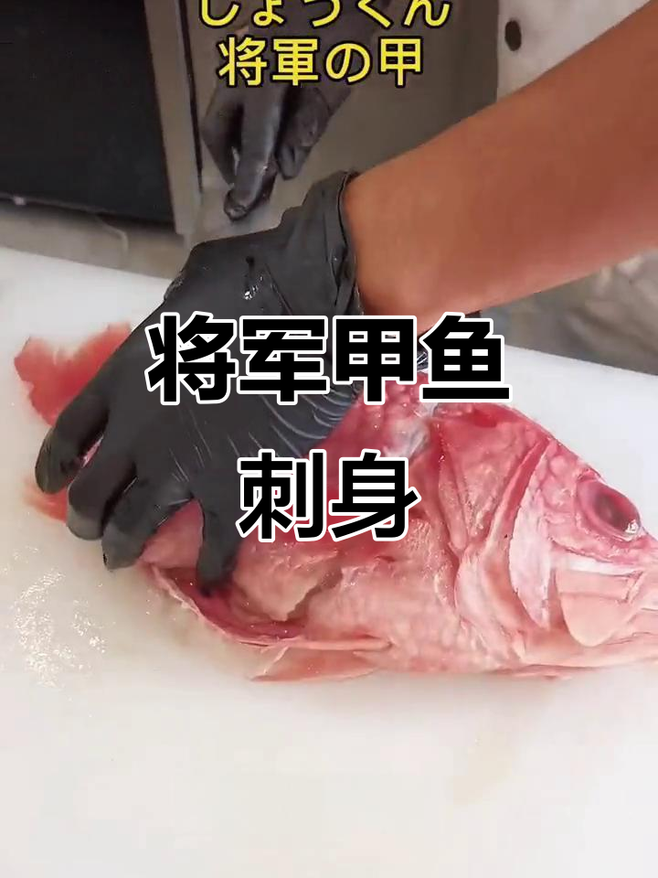 将军甲鱼刺身:深海美味,轻松切黄瓜