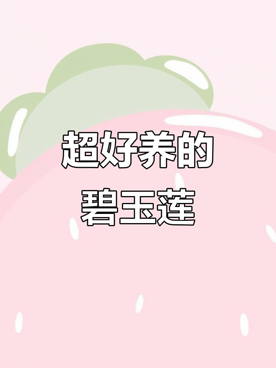 碧玉莲多肉:超耐养,轻松爆盆,颜值超高