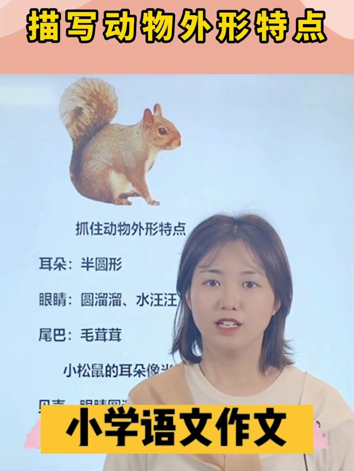 小学语文作文描写动物的特点,点击收藏