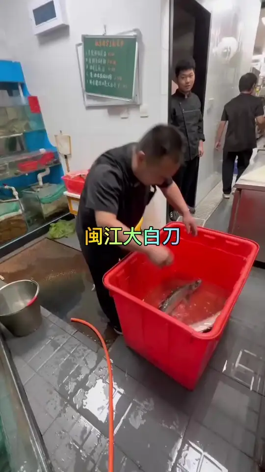 天然米级白刀鱼，郁达夫笔下的最爱，饕兄千万莫错过！