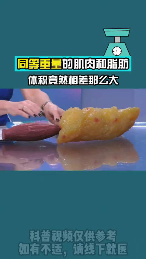 生命下午茶 同等重量的肌肉和脂肪,体积相差有多大?这下知道为什么要运动了吧「呆」