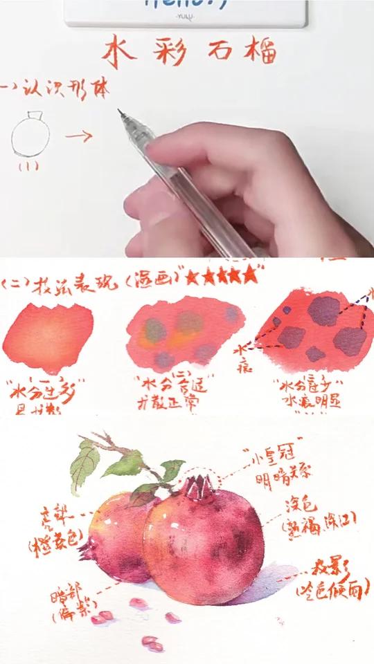 石榴怎么画？这才是新手该看的水彩教程