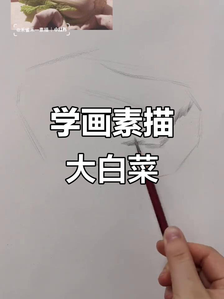 素描大白菜全步骤解析，轻松掌握细节与光影变化