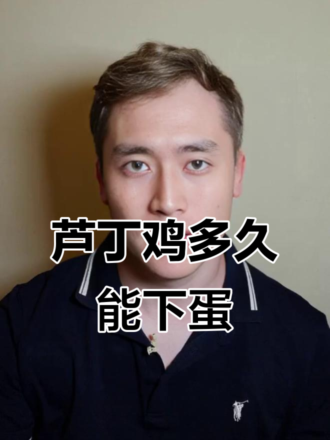 芦丁鸡下蛋时间大揭秘,早的四十天就能开始!