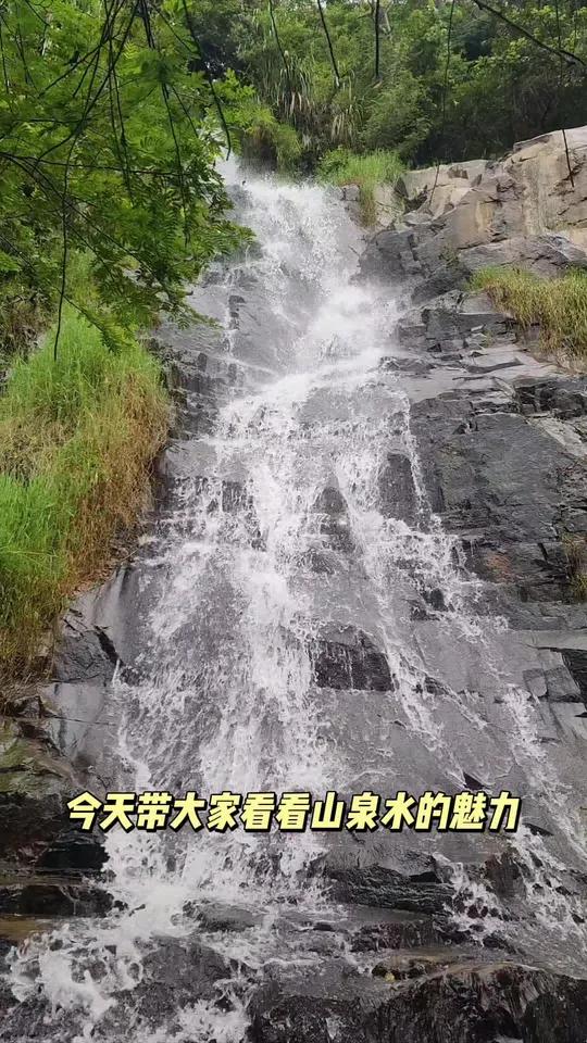 山泉吊水鱼30天以上包好吃