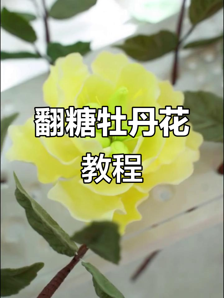 翻糖蛋糕牡丹花制作,明年春暖花开见!