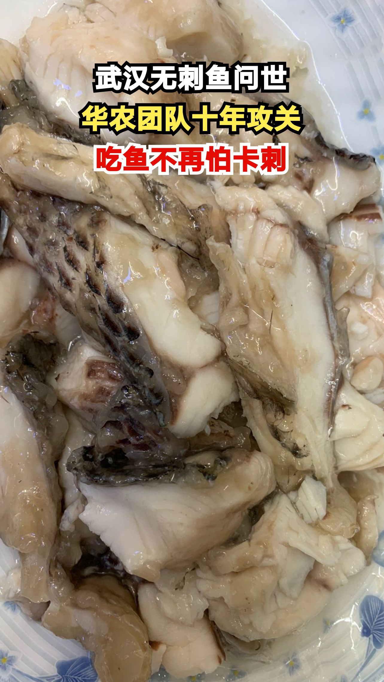 武汉科学家培育出无刺武昌鱼,两年内上餐桌!吃鱼自由来了?
