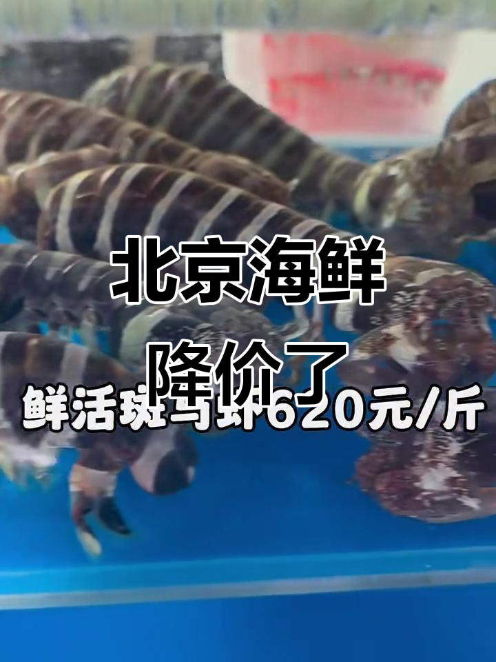 6月北京海鲜市场价格大揭秘,皮虾甲鱼降价中!