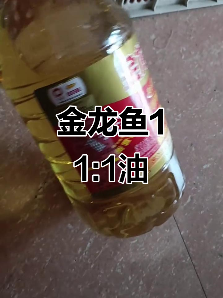 金龙鱼1:1:1食用调和油，健康又美味