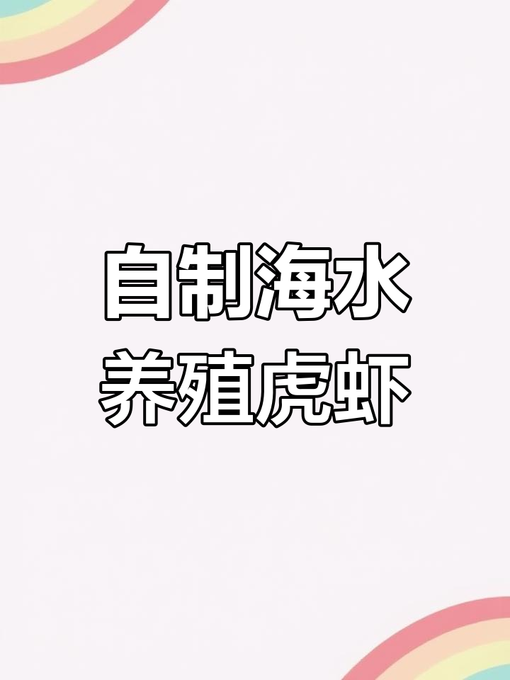 自家养虎虾,轻松打造海洋环境