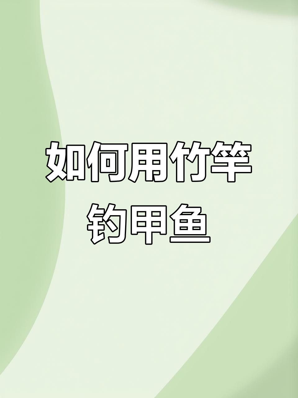 竹竿钓甲鱼技巧大揭秘,轻松掌握穿猪肝方法