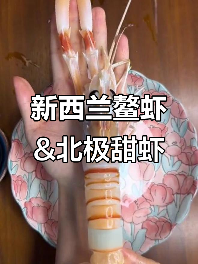新西兰南极鹰牌鳌虾与俄罗斯北极甜虾的完美搭配,刺身拼盘大揭秘