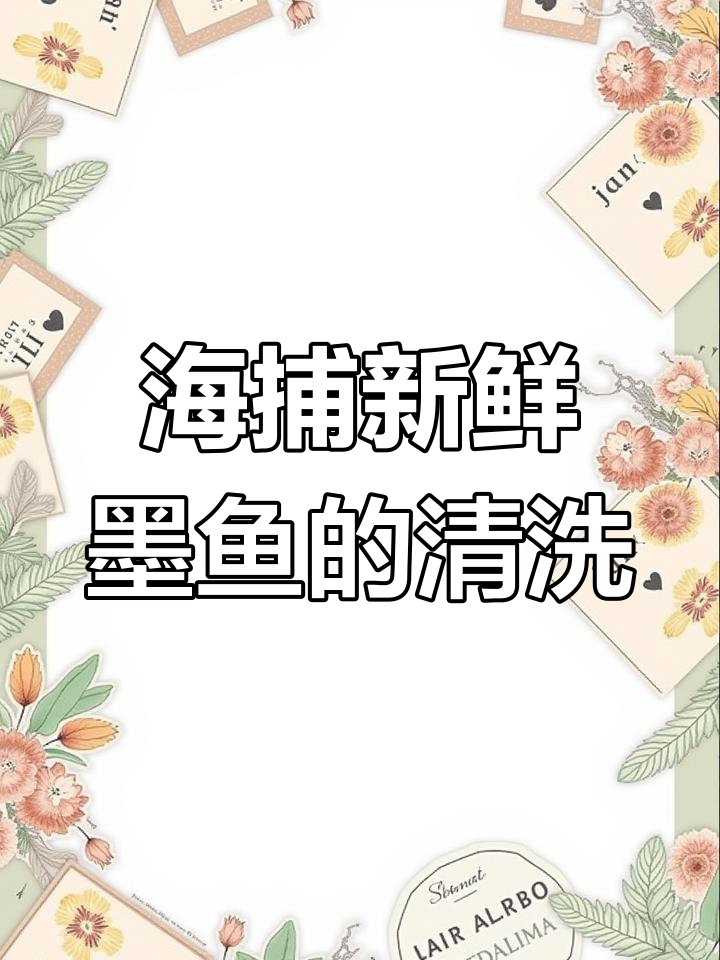 广东渔民传统墨鱼捕捞技巧,原汁原味清洗全过程