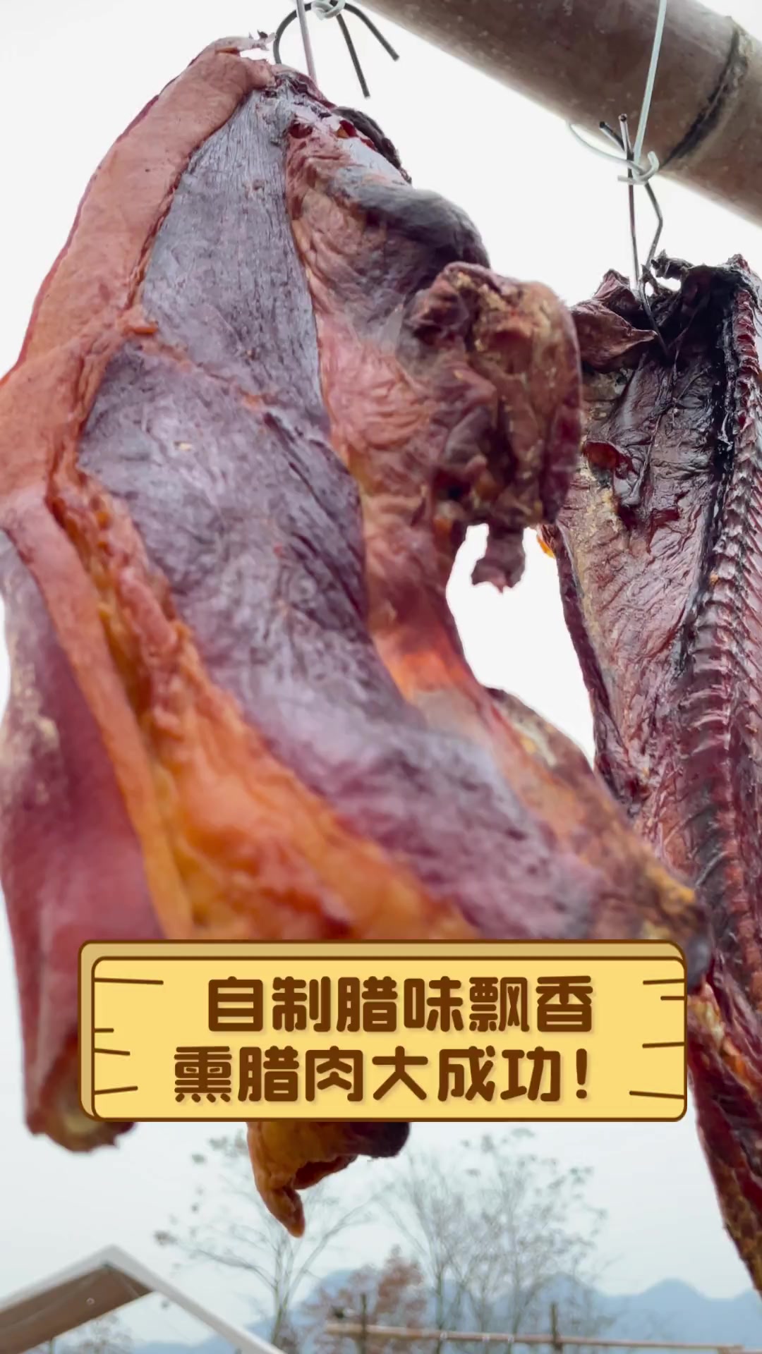 自制腊味飘香,熏腊肉大成功!
