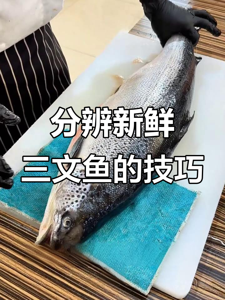 如何辨别新鲜三文鱼刺身,关键步骤全解析