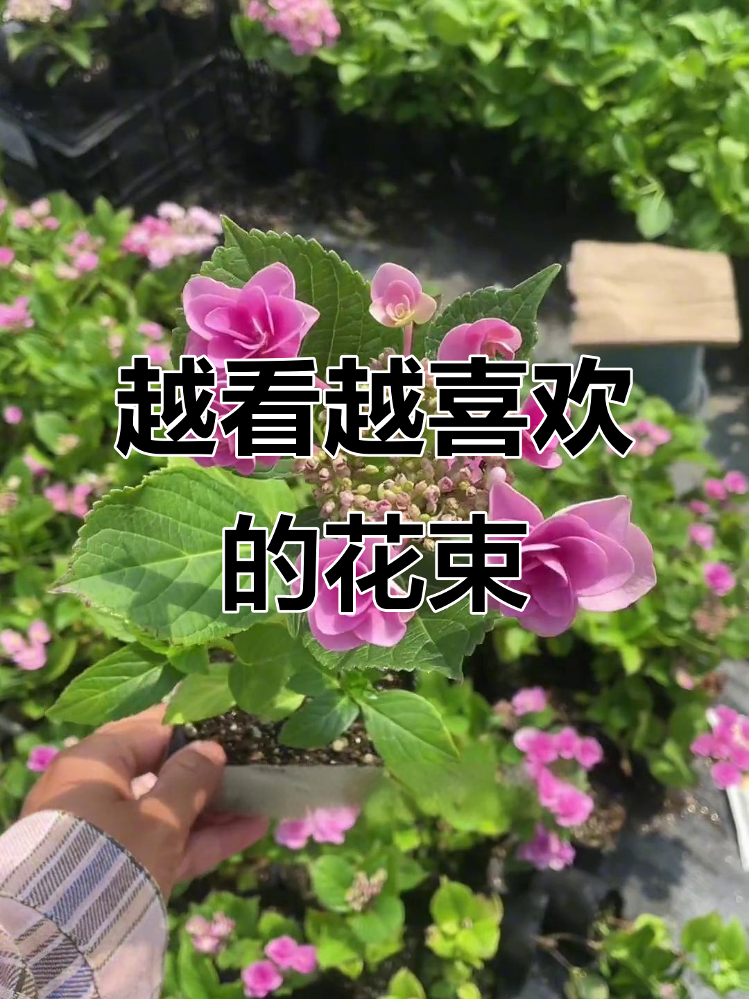 塞尔玛婚礼花束与北极熊的奇妙搭配,越看越喜欢
