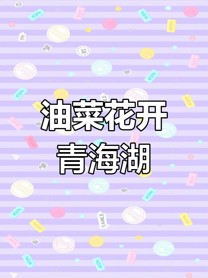7月20日青海湖油菜花盛开,甘青环线8天游