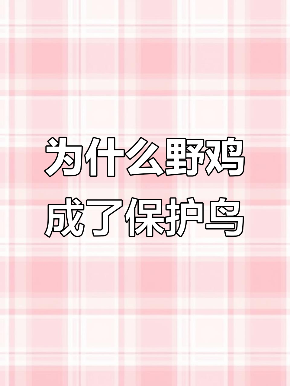 野鸡为何成保护动物?农民庄稼被吃是常态