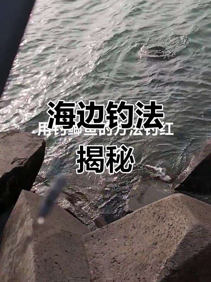 真实海边钓鱼技巧,鲫鱼轻松钓