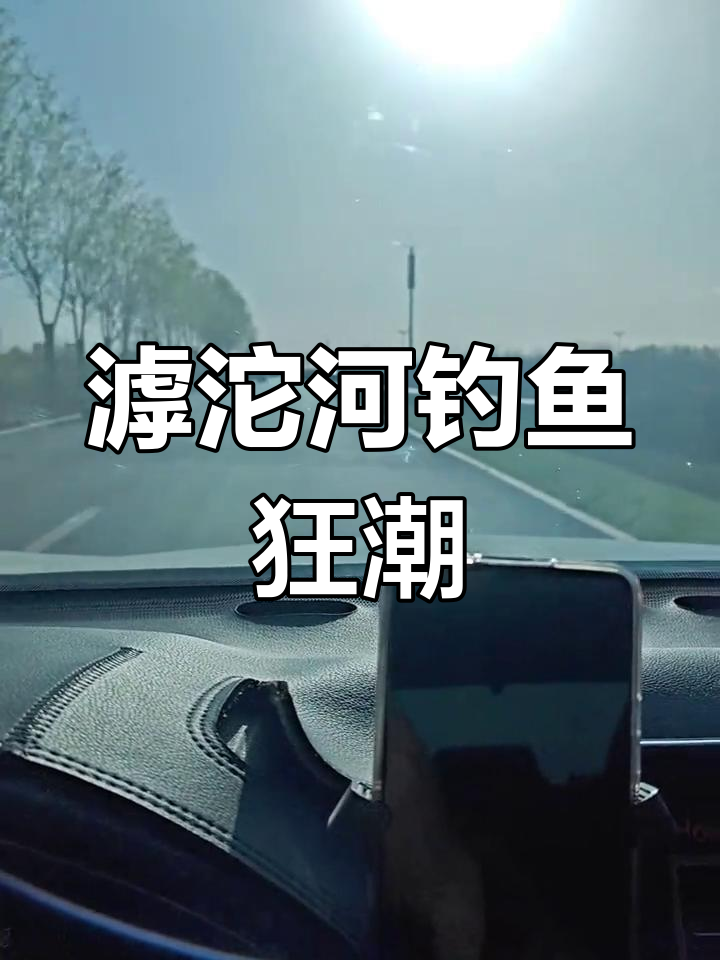 滹沱河钓鲫连杆,野钓人的疯狂时刻