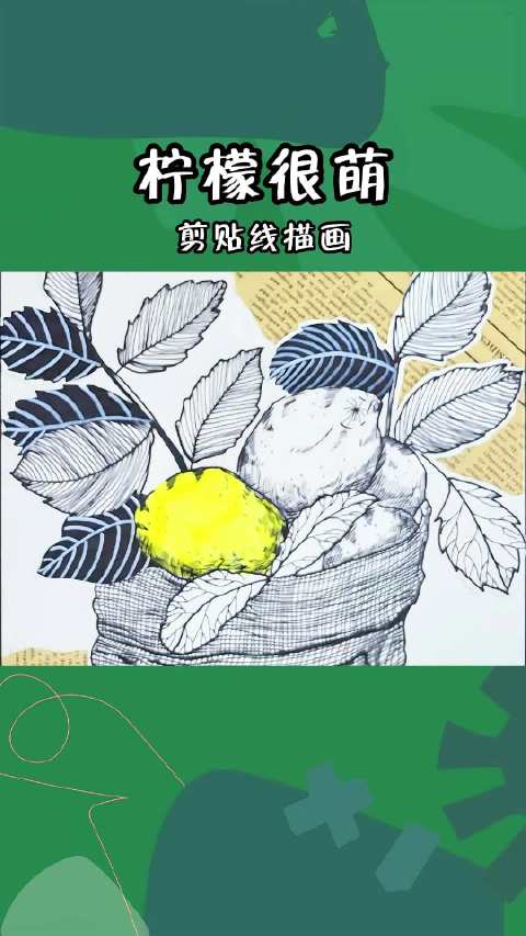希望美术教你画《柠檬很萌》柠檬是一种充满活力和清新感的水果,它的酸味和香气令人难以忘怀。柠