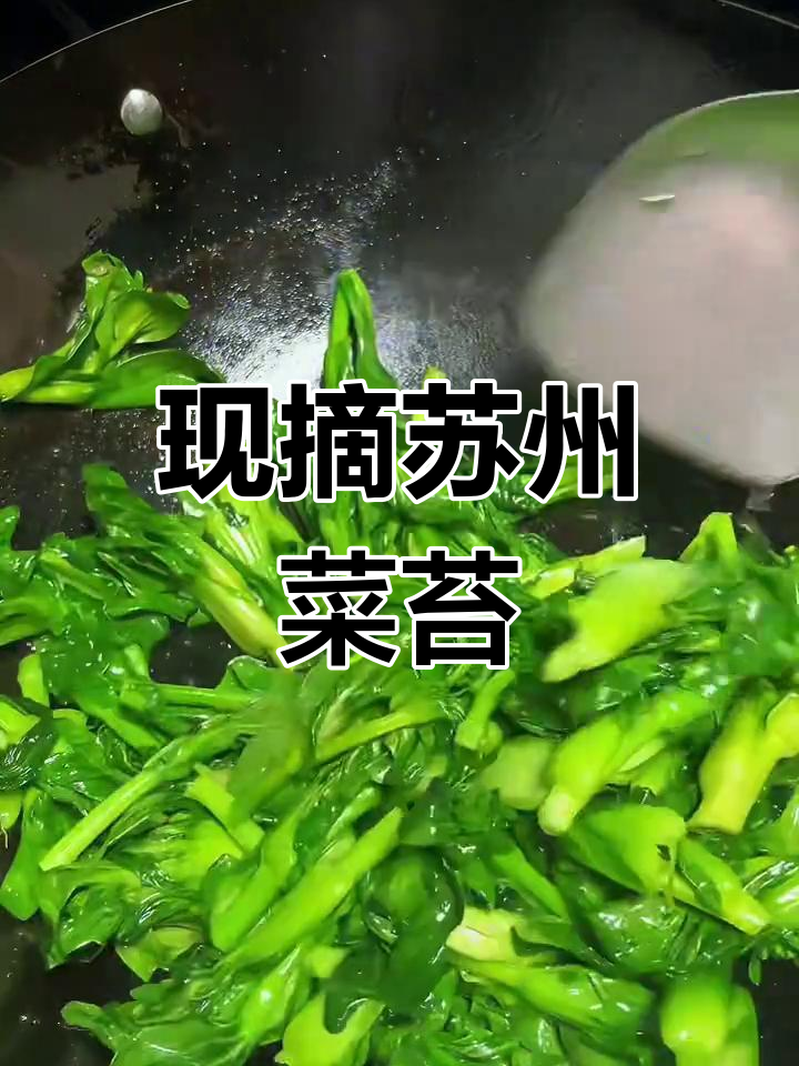 苏州青霜冻菜苔,嫩滑香甜,现摘现发超新鲜