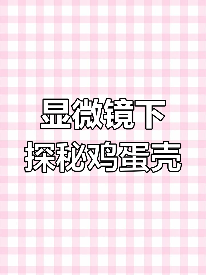 放大100倍看鸡蛋壳,竟然发现这些小秘密!