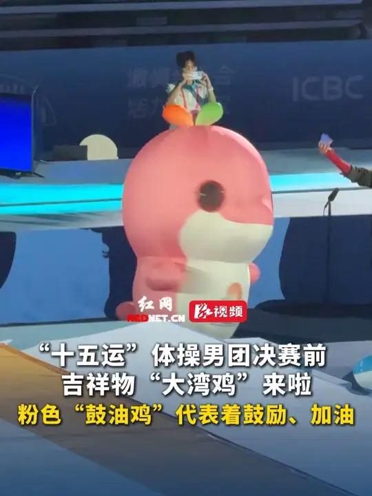 11月12日 第十五届全运会现场，体操男团决赛前，吉祥物“大湾鸡”来啦，粉色“鼓油鸡”代表