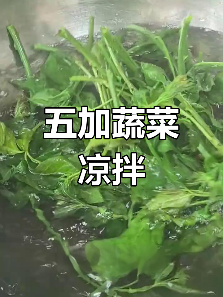 刺五加凉拌菜,简单又美味!酸辣口感让人停不下来
