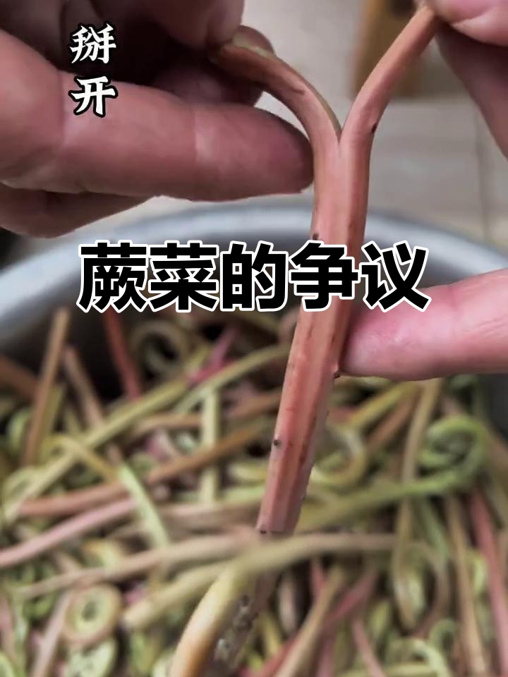 专家说蕨菜有毒，但农村人却一直放心食用
