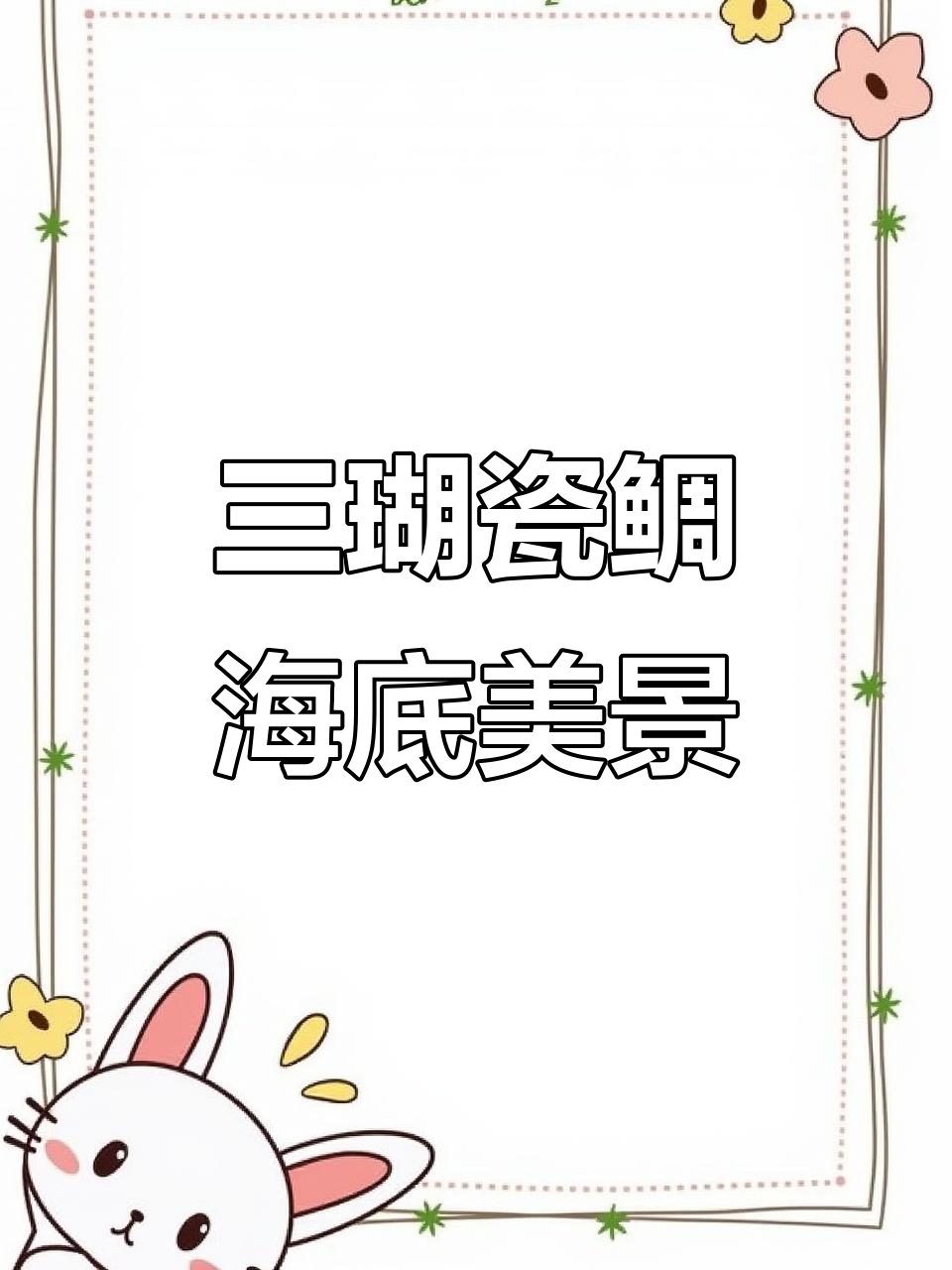彩虹鱼三湖慈鲷,美丽如海水鱼,新手也能轻松养