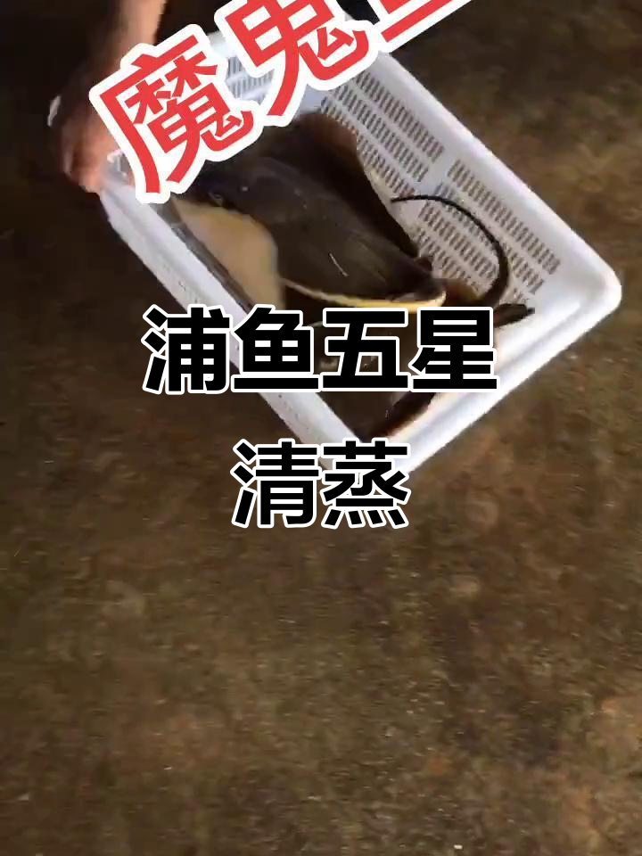 五星级浦鱼,清蒸大盘呈现完美口感