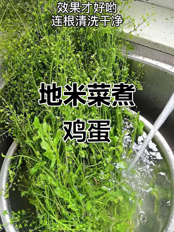 三月三,地米菜煮蛋,吃后神清气爽,湖北独有传统