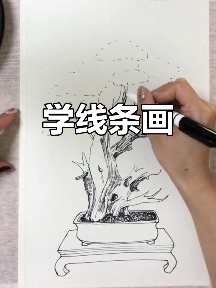 跟我一起学线描,轻松画出美丽画面