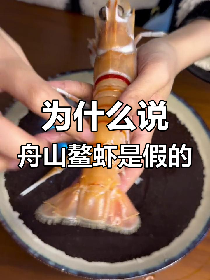 舟山鳌虾为何常被误认?真相大揭秘!