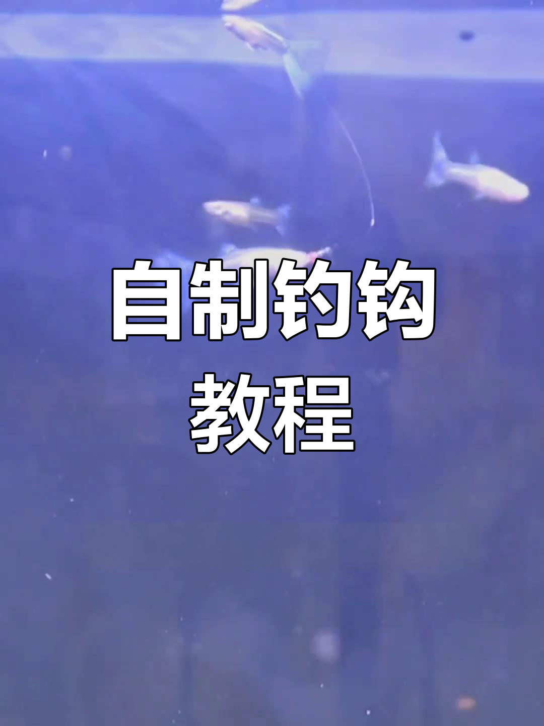 轻松制作钓鱼钩,孔雀鱼也能搞定