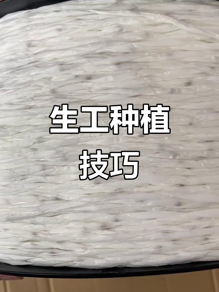 精准种植法,胡萝卜香菜都能高效生长
