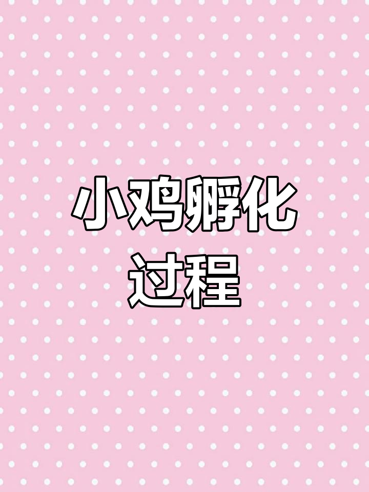 小鸡破壳全过程,蛋壳破裂瞬间超萌