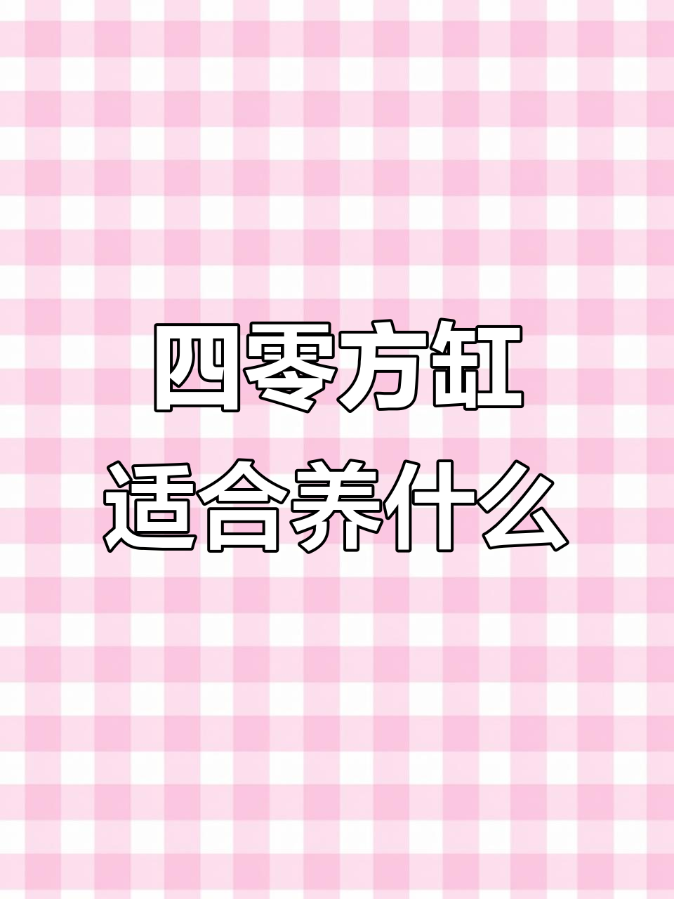 桌面小缸尺寸选择指南，四零与四五对比分析