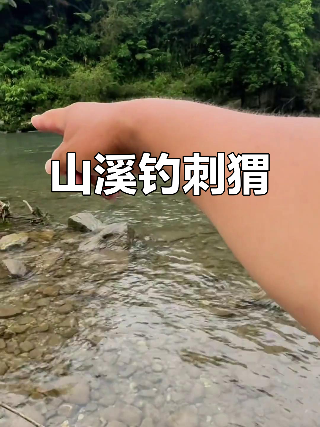 深山溪流钓鱼,赤尾拉力惊人!