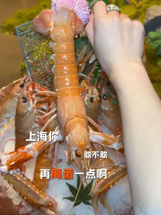 上海惊现980一只新西兰活鳌虾刺客 各钱包单位都注意了,记得捂紧啊