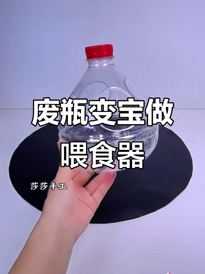利用废瓶子DIY鸡鸭喂食器,简单又实用