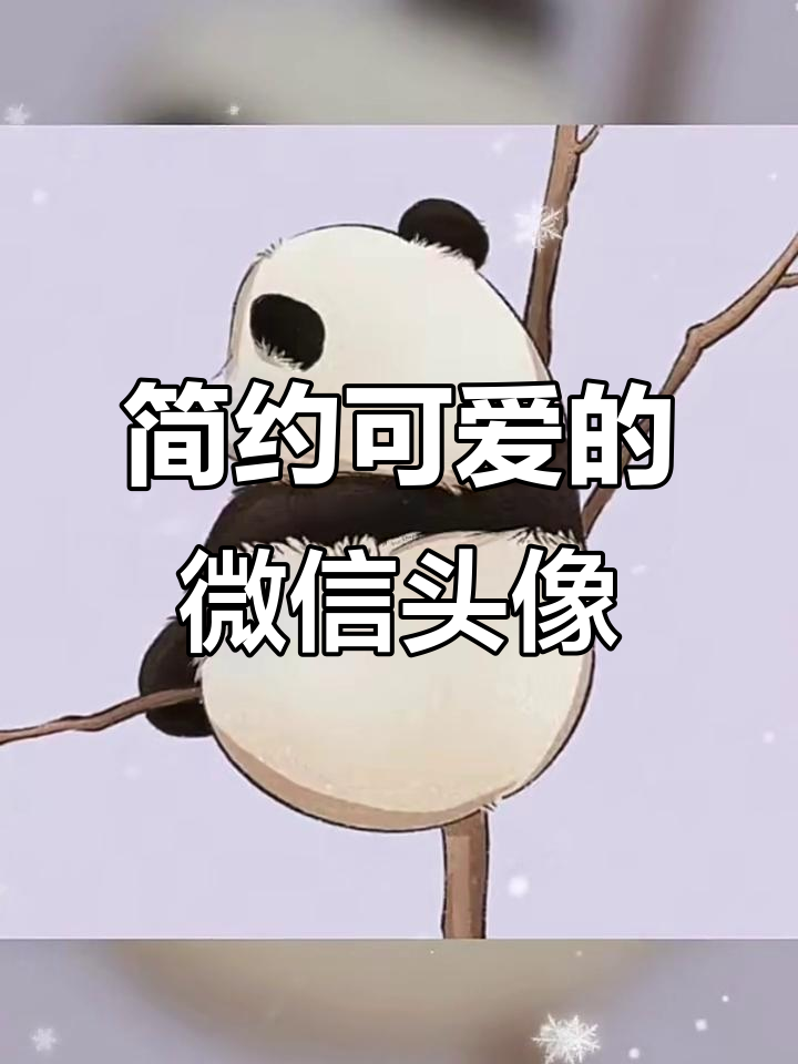 微信头像可爱又清新,简单干净风格最受欢迎