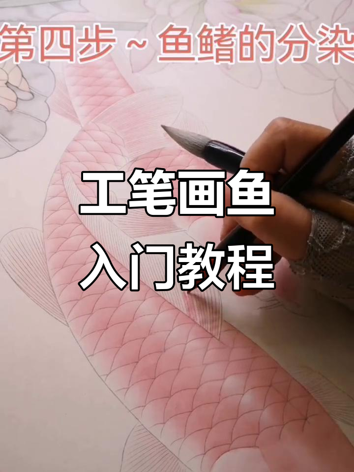 零基础学工笔鱼画,轻松掌握绘画技巧