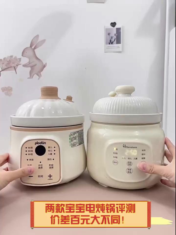 两款宝宝电炖锅评测,价差百元大不同!