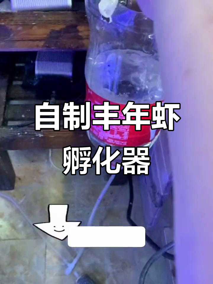 简单DIY丰年虾孵化器，低成本高效率