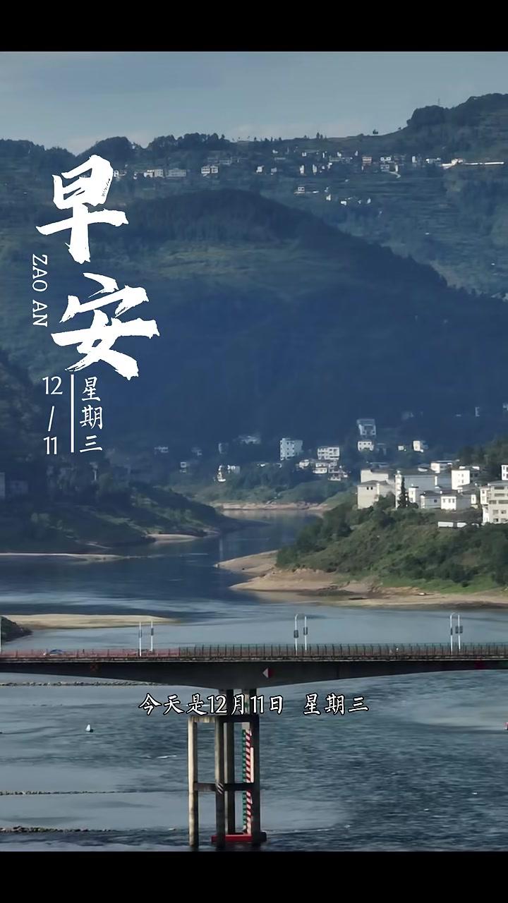 今天是12月11日,星期三。早安!糯米包子的故事在晨雾中悄然苏醒。刚出笼的糯米包子,白胖可