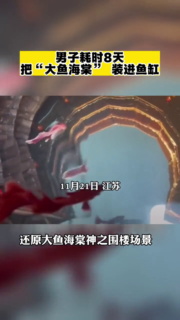 男子耗时8天把“大鱼海棠” 装进鱼缸还原大鱼海棠神之围楼场景