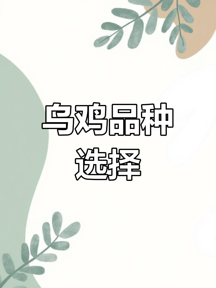 湖南湖北发货,多种乌鸡品种任选